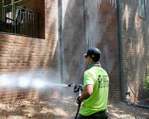 Pressure Washing (1)